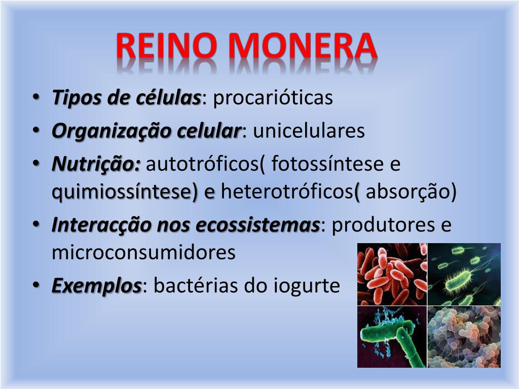 PPT - Transporte de substâncias no diferentes reinos PowerPoint  Presentation - ID:1973727