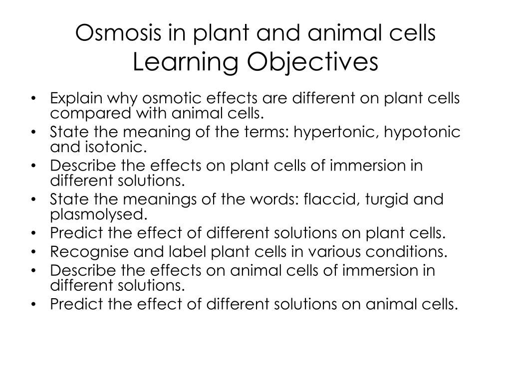PPT - Diffusion and Osmosis in plant and animal cells PowerPoint Presentation - ID:1974264 PPT - Diffusion and Osmosis in plant and animal cells PowerPoint Presentation - ID:1974264