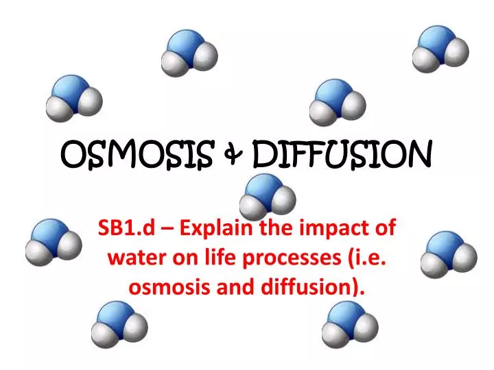 PPT - OSMOSIS & DIFFUSION PowerPoint Presentation, free download -  ID:1974276