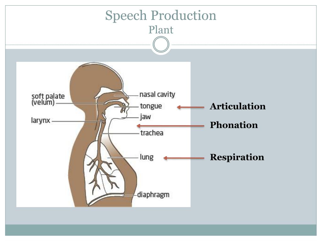 summary speech production