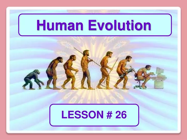 make presentation on human evolution