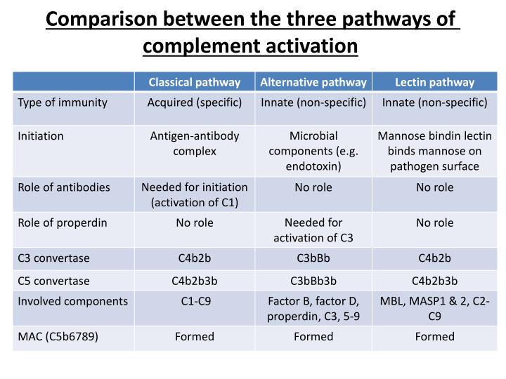 PPT COMPLEMENT SYSTEM PowerPoint Presentation ID1975728