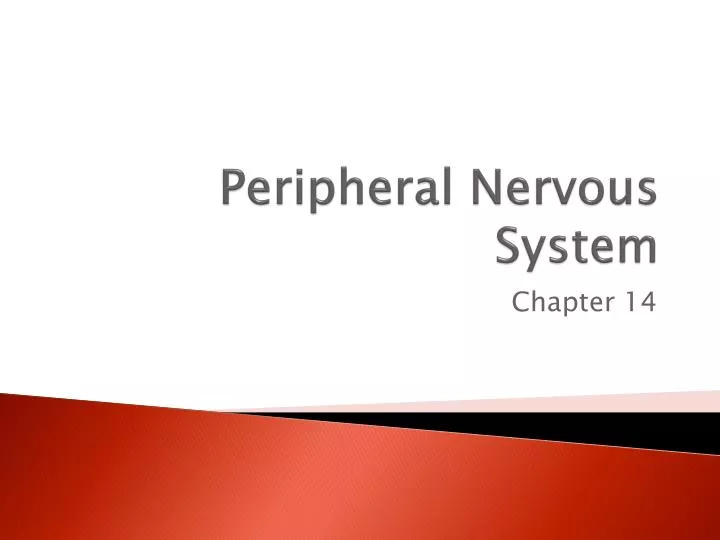 Ppt Peripheral Nervous System Powerpoint Presentation Free Download Ppt Peripheral Nervous System Powerpoint Presentation Free Download