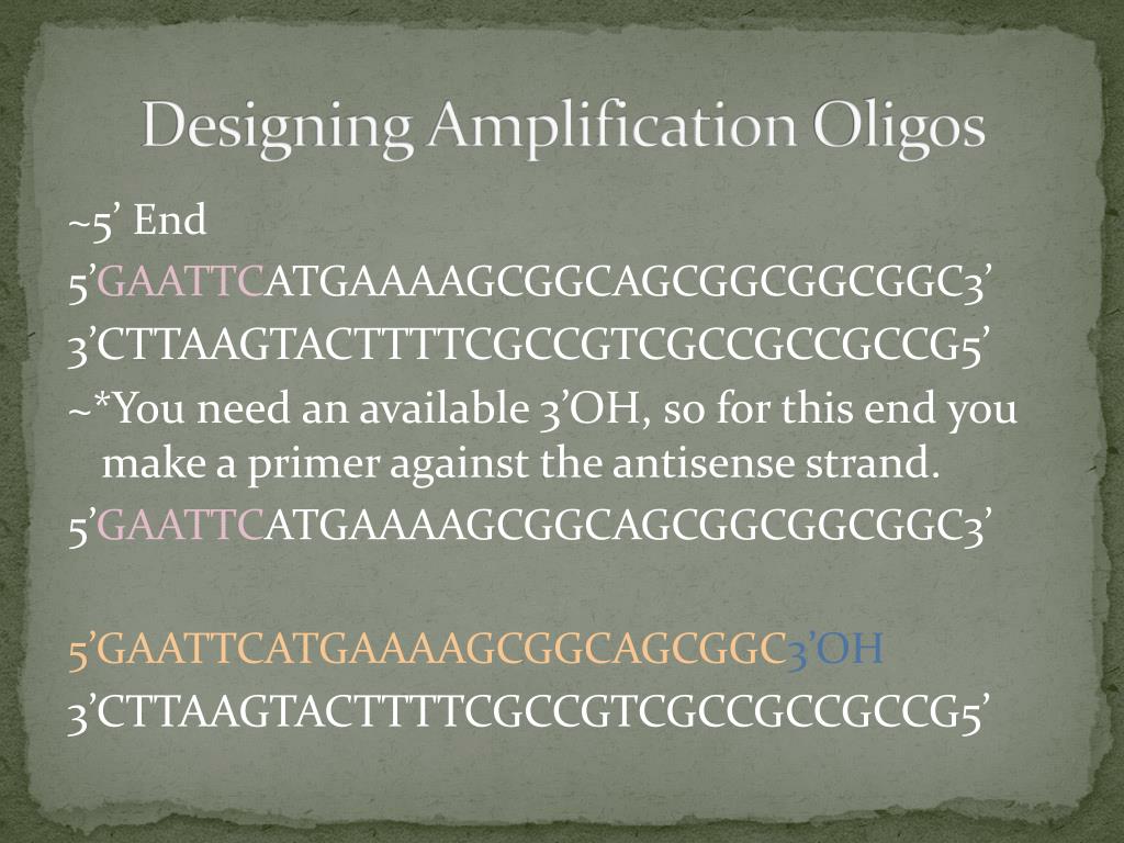 PPT - Codon Optimization PowerPoint Presentation, free download - ID ...