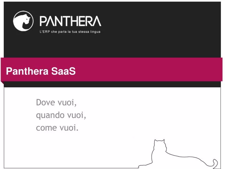 panthera saas n.