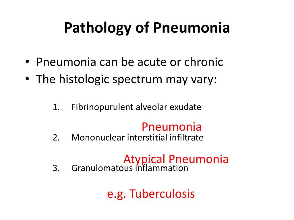 PPT - RESPIRATORY BLOCK PATHOLOGY L4 PowerPoint Presentation, free ...