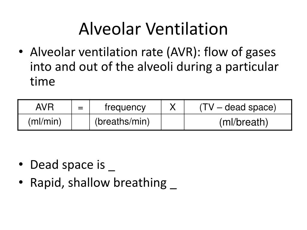 alveolar ventilation no dead space