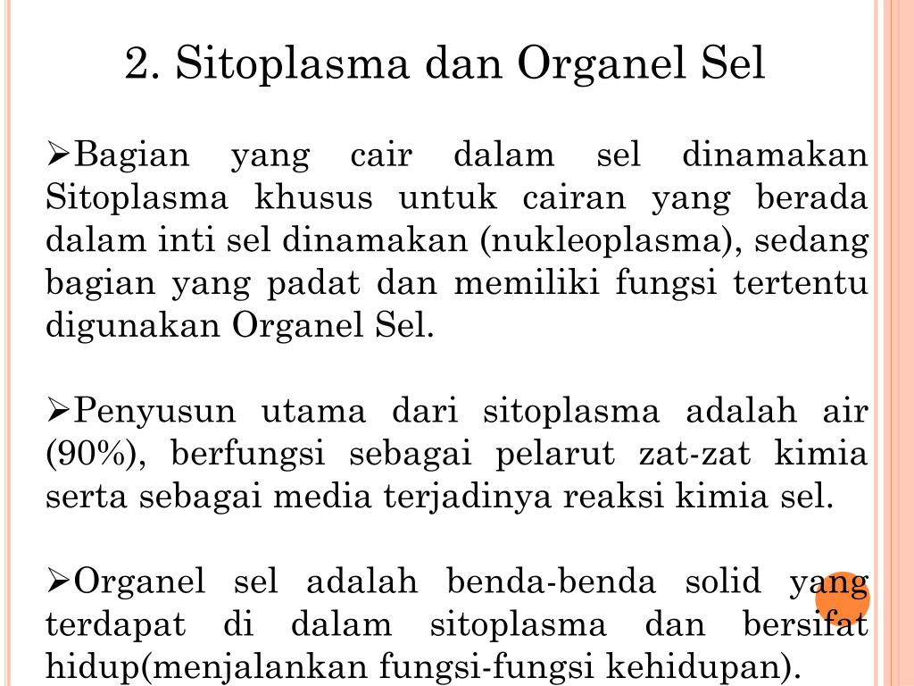 Ppt 2 Sitoplasma Dan Organel Sel Powerpoint Presentation
