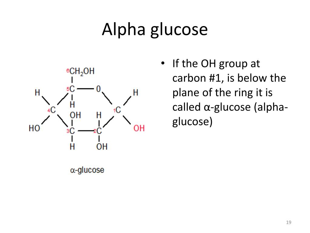 PPT The Chemicals Of Life PowerPoint Presentation Free Download ID PPT The Chemicals Of Life PowerPoint Presentation Free Download ID
