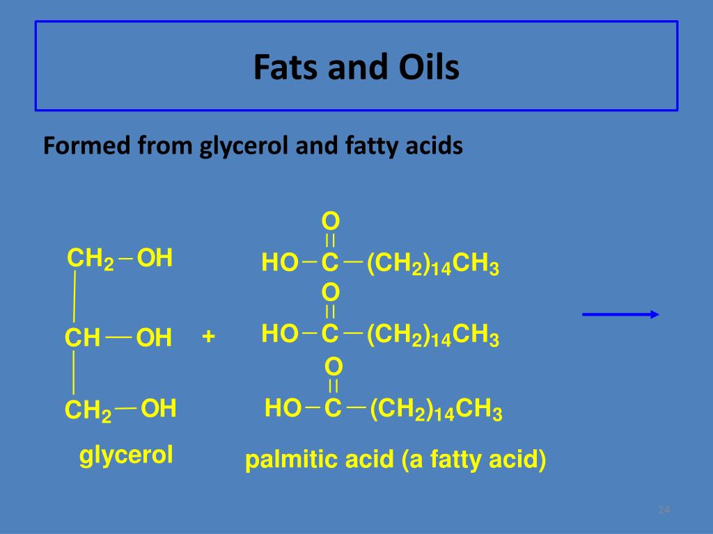 PPT LIPID Struktur dan fungsi PowerPoint Presentation, free