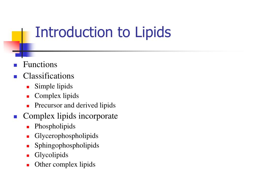 lipids introduction for assignment