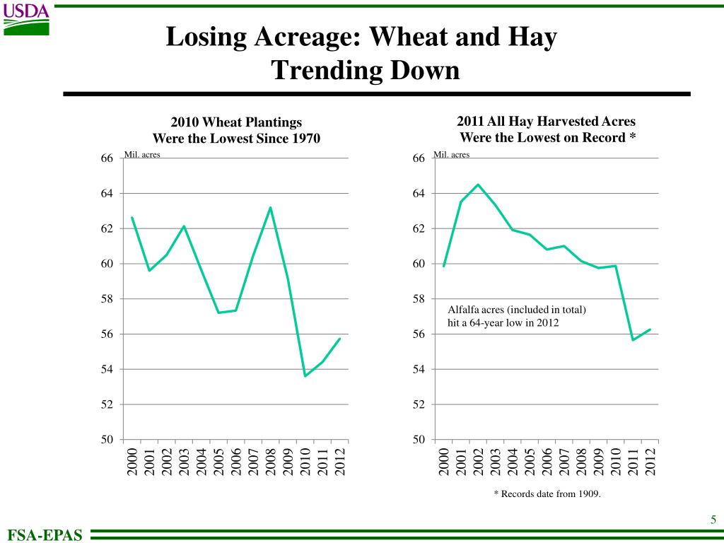 PPT - GRAINS AND OILSEEDS OUTLOOK 2013 Agricultural Outlook Forum ...