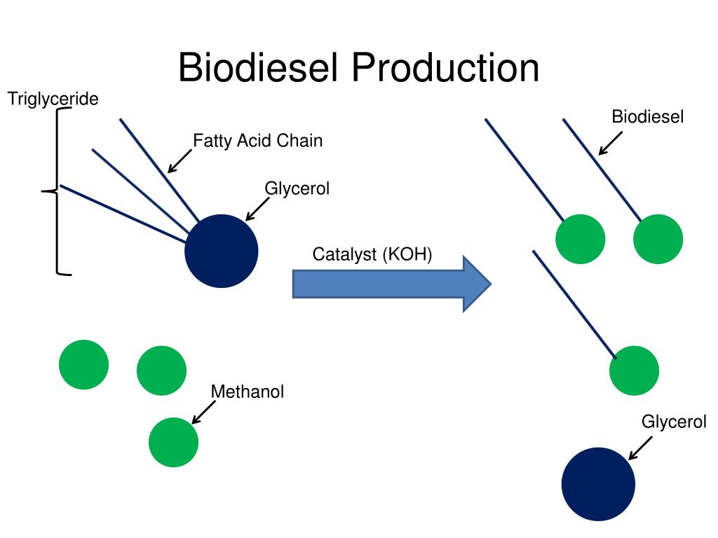 PPT Running a Vehicle Off of Waste Producing Biodiesel from Used