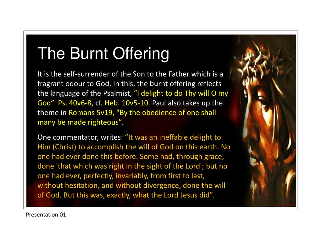 burnt offerings hamilton novel burnt offerings hamilton novel