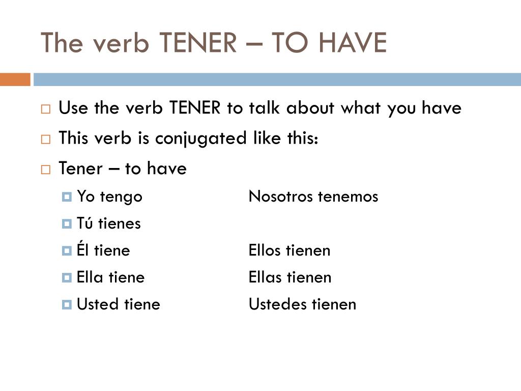 el-verbo-tener-the-verb-to-have-81d