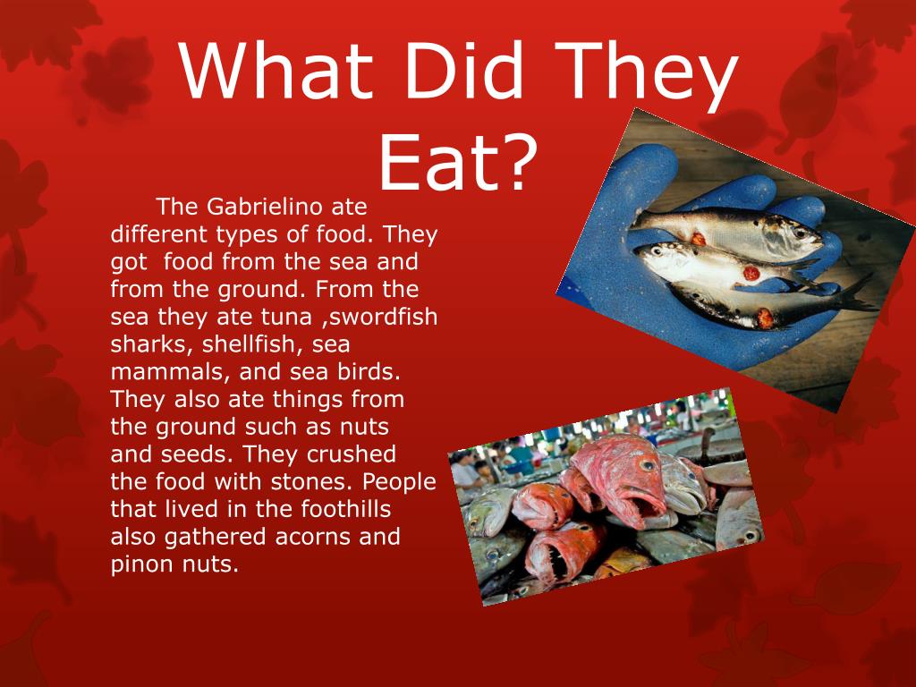 Eat как переводится на русский. What do they do. They are eating Fish. Do they eat? Или does they eat?.