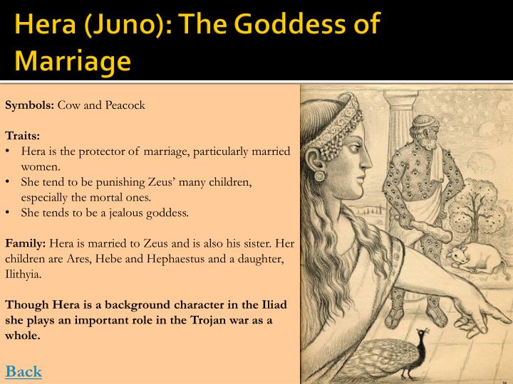 a short description of the goddess hera Gods, goddesses, and heroes and is accompanied by a brief description after slaying his family in a fit of insanity caused by the goddess hera. a short description of the goddess hera Gods, goddesses, and heroes and is accompanied by a brief description after slaying his family in a fit of insanity caused by the goddess hera.