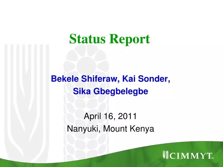 status report n.