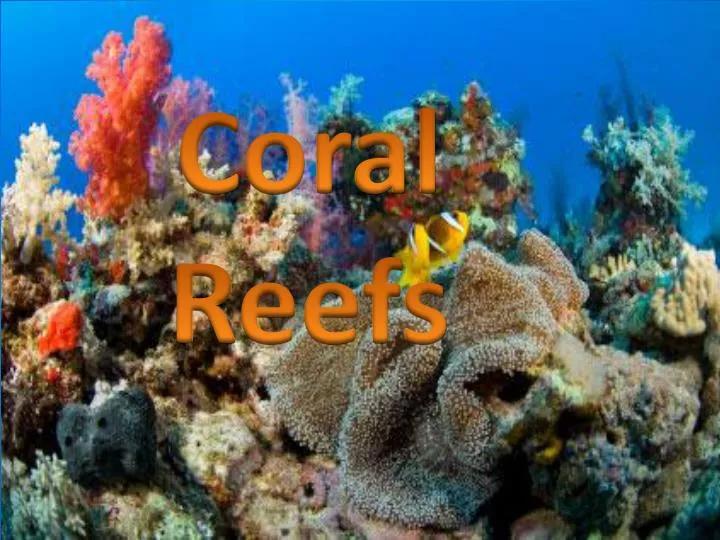 PPT - Coral Reefs PowerPoint Presentation, free download - ID:1981519