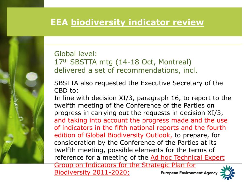 PPT - Biodiversity Indicators: Review Of The EEA Set Of Indicators ...