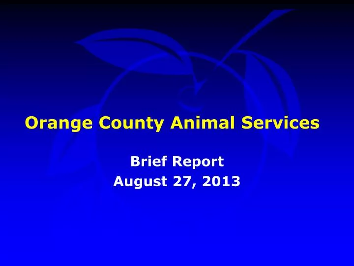 PPT Orange County Animal Services PowerPoint Presentation, free