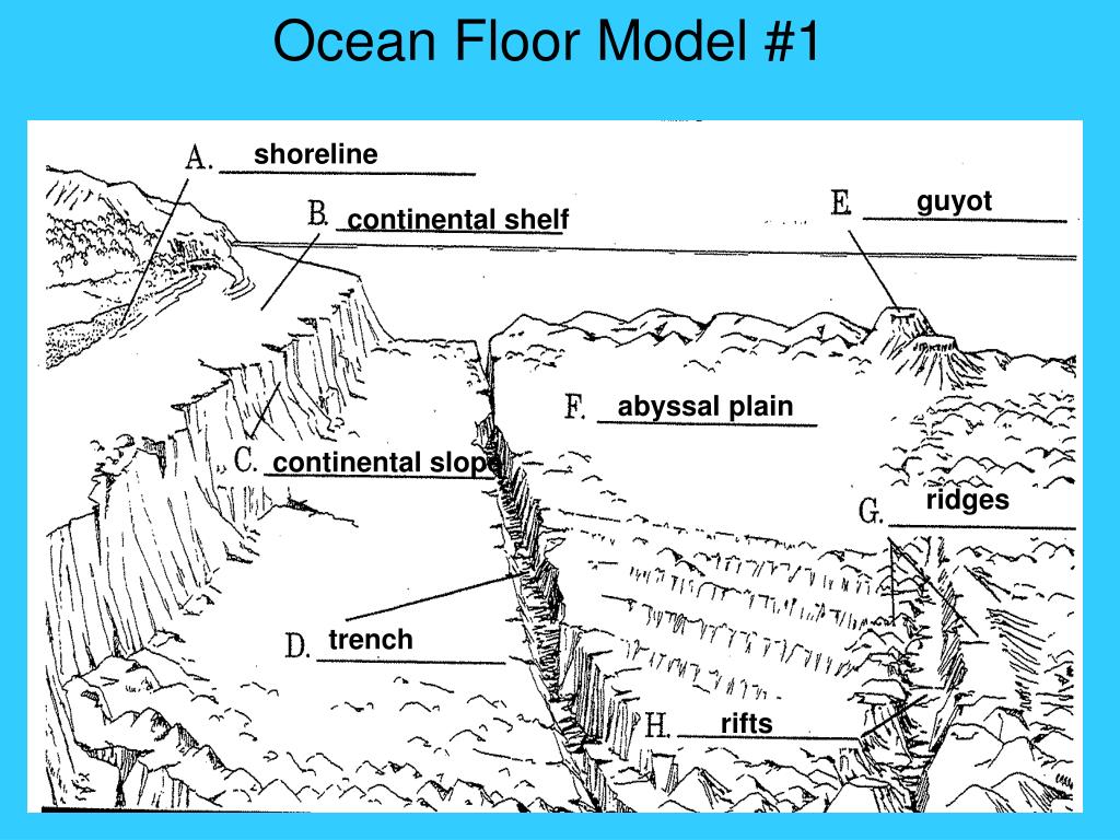 Ppt Ocean Floor Powerpoint Presentation Free Download Id 1982676