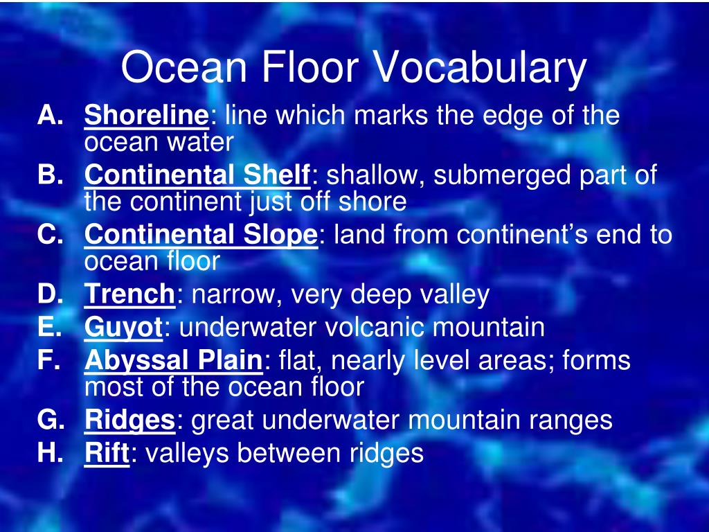 Ppt Ocean Zones Ocean Floor Powerpoint Presentation Free