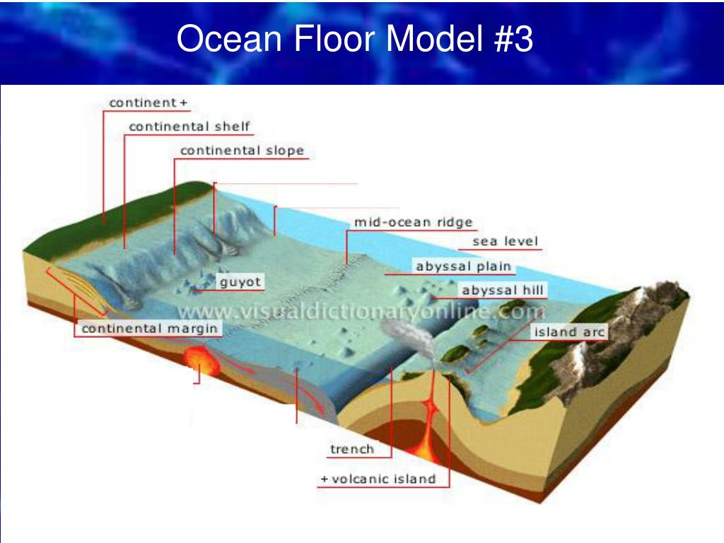 Ppt Ocean Zones Ocean Floor Powerpoint Presentation Free