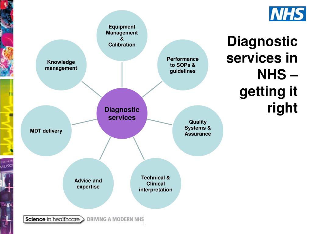 PPT Physiology Diagnostics The Atlas Of Variation Professor Sue 