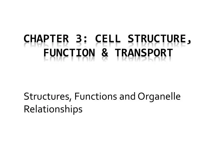 structures functions and organelle relationships n.