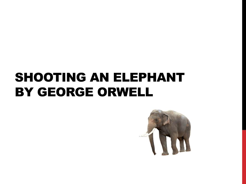 shooting an elephant essay