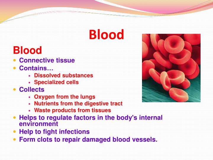 PPT - BODY SYSTEMS PowerPoint Presentation - ID:1984174