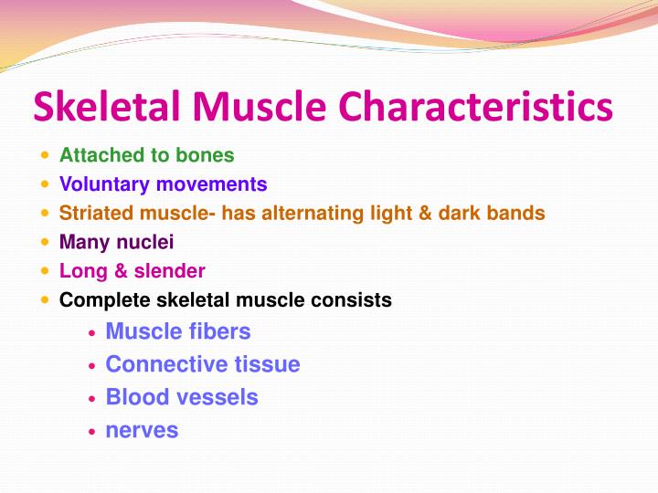 3 Characteristics Of Skeletal Muscle