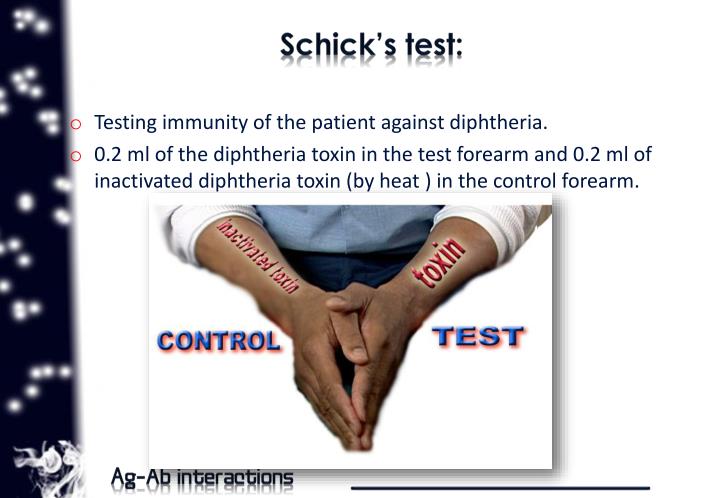 PPT - Agglutination PowerPoint Presentation - ID:1984254