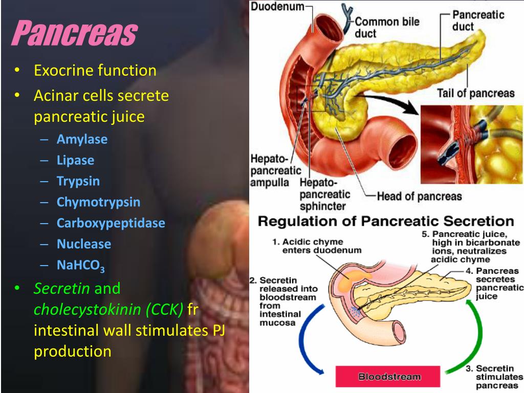 Se puede extirpar el pancreas