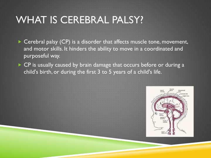 PPT - Cerebral Palsy PowerPoint Presentation - ID:1985358