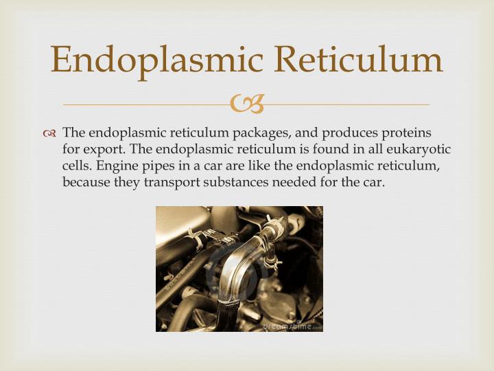 PPT - Cell to Car Analogy PowerPoint Presentation - ID:1985518