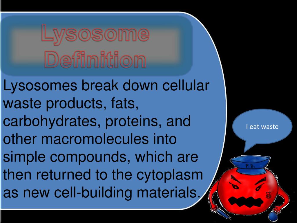 CELL Topics Cell structure Cell function Cellular organization - ppt video  online download