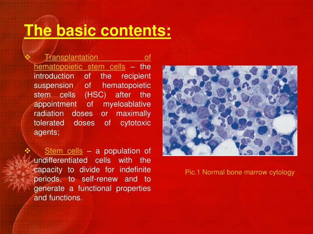 PPT - Transplantation of hematopoietic stem cells in pediatric oncology ...