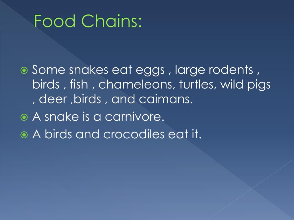 Snakes PowerPoint Presentation free download Biology Diagrams