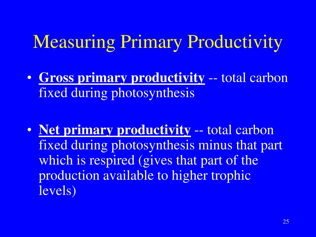 Topic 21 Productivity PowerPoint Presentation, free download Biology Diagrams
