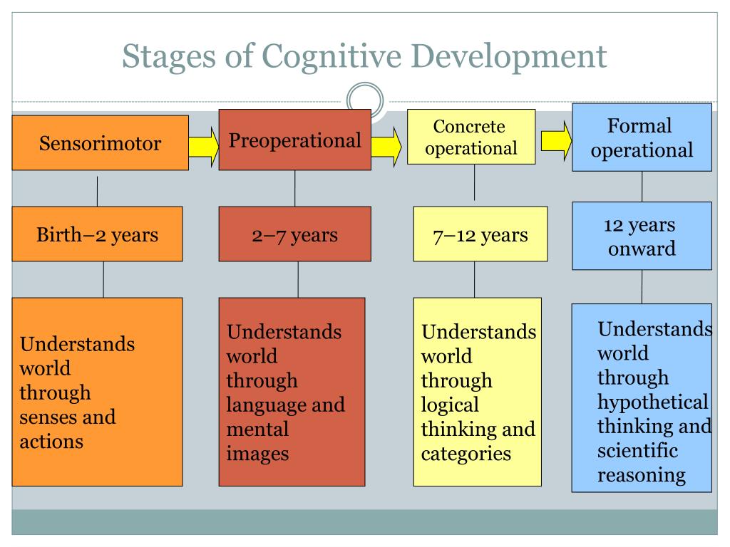 PPT - Unit 3 Theoretical Perspectives of Human Development PowerPoint ...