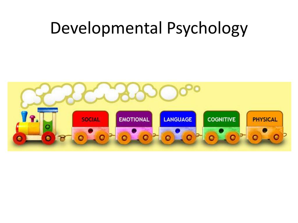 PPT Developmental Psychology PowerPoint Presentation free