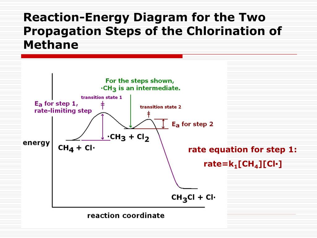 PPT The Study of Chemical Reactions PowerPoint Presentation, free