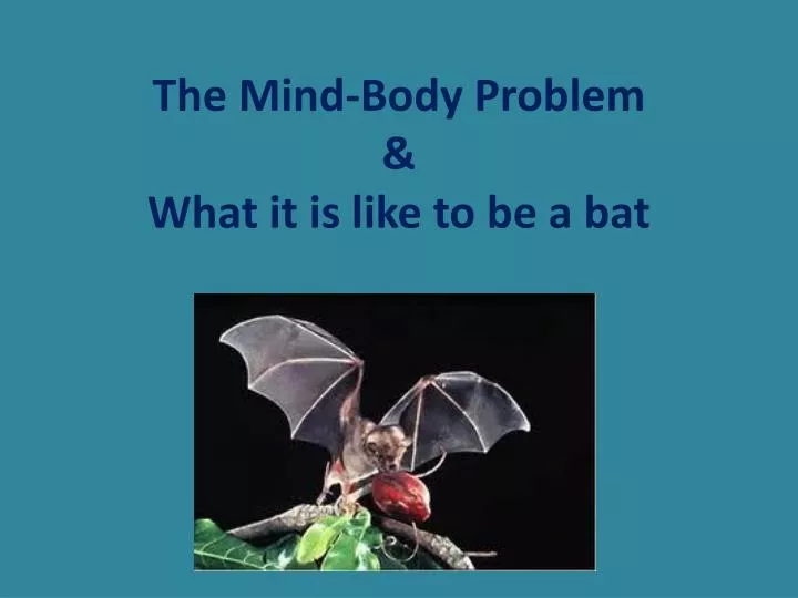PPT - The Mind-Body Problem & What it is like to be a bat PowerPoint  Presentation - ID:1988264