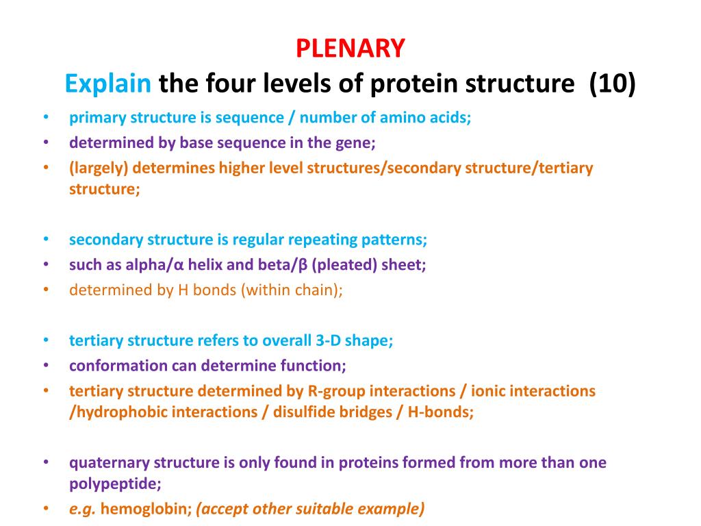 Ppt Starter You Are About To See An Animation On Protein