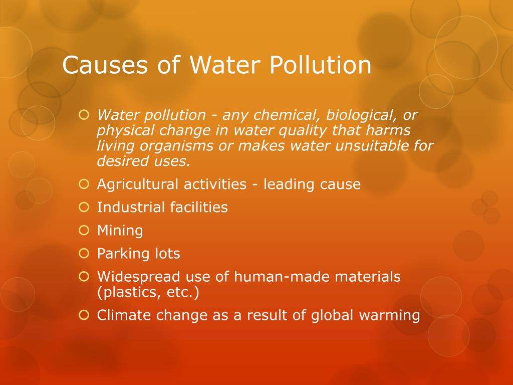 main causes of water pollution essay