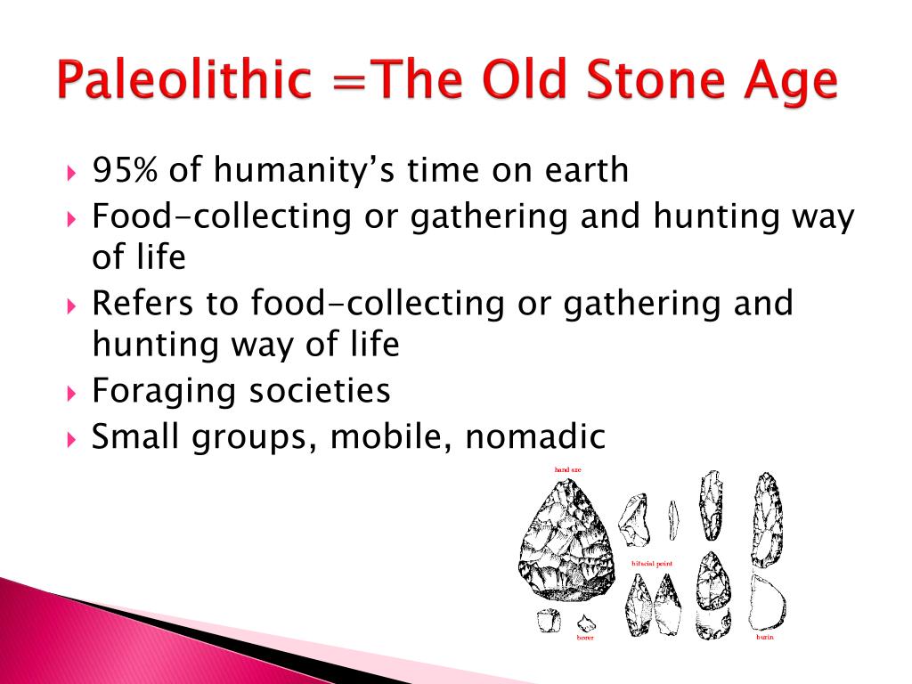 PPT The Paleolithic Age 95 PowerPoint Presentation Free Download   Paleolithic The Old Stone Age L 