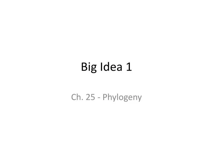 big idea 1 n.