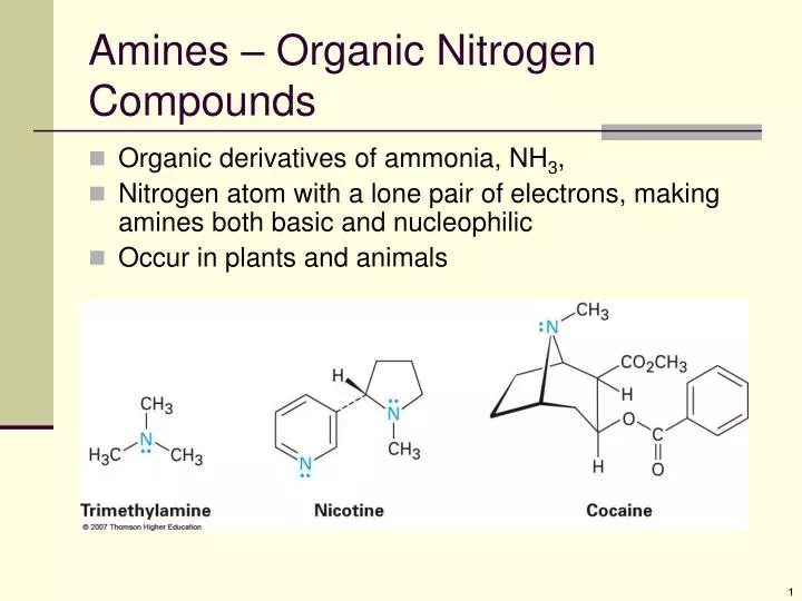 PPT Amines Organic Nitrogen Compounds PowerPoint Presentation, free